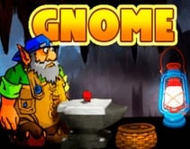 Gnome